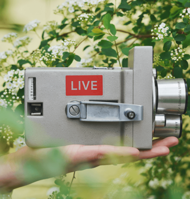 Hand holding a vintage camera labelled LIVE amid greenery, cover for What Is Green Streaming