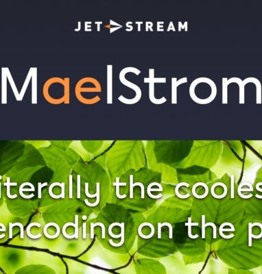 MaelStrom banner with green leaves: literally the coolest encoding on the planet